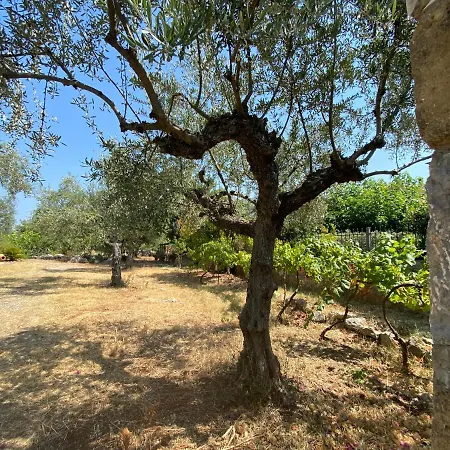 Villa Ventana *