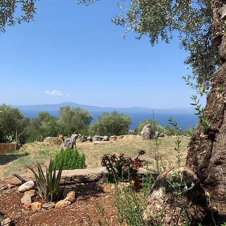 Ventana Megali Mantineia